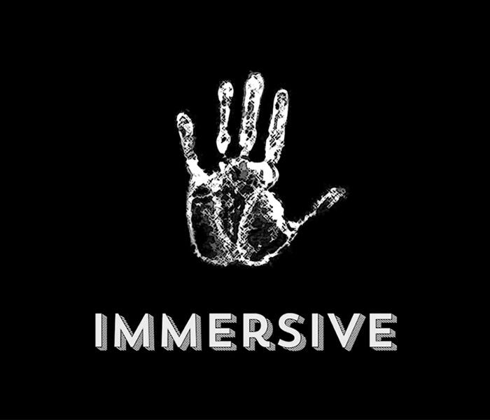 Immersive Vehicles